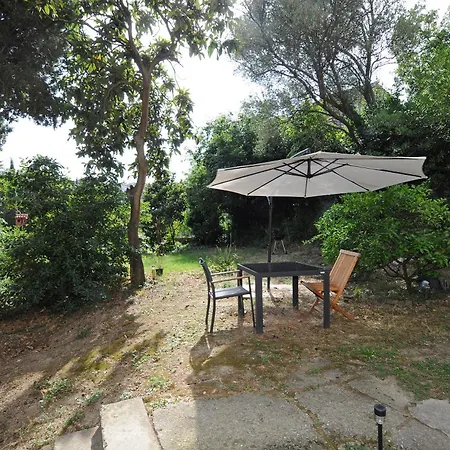 Homestay Holiday's House *